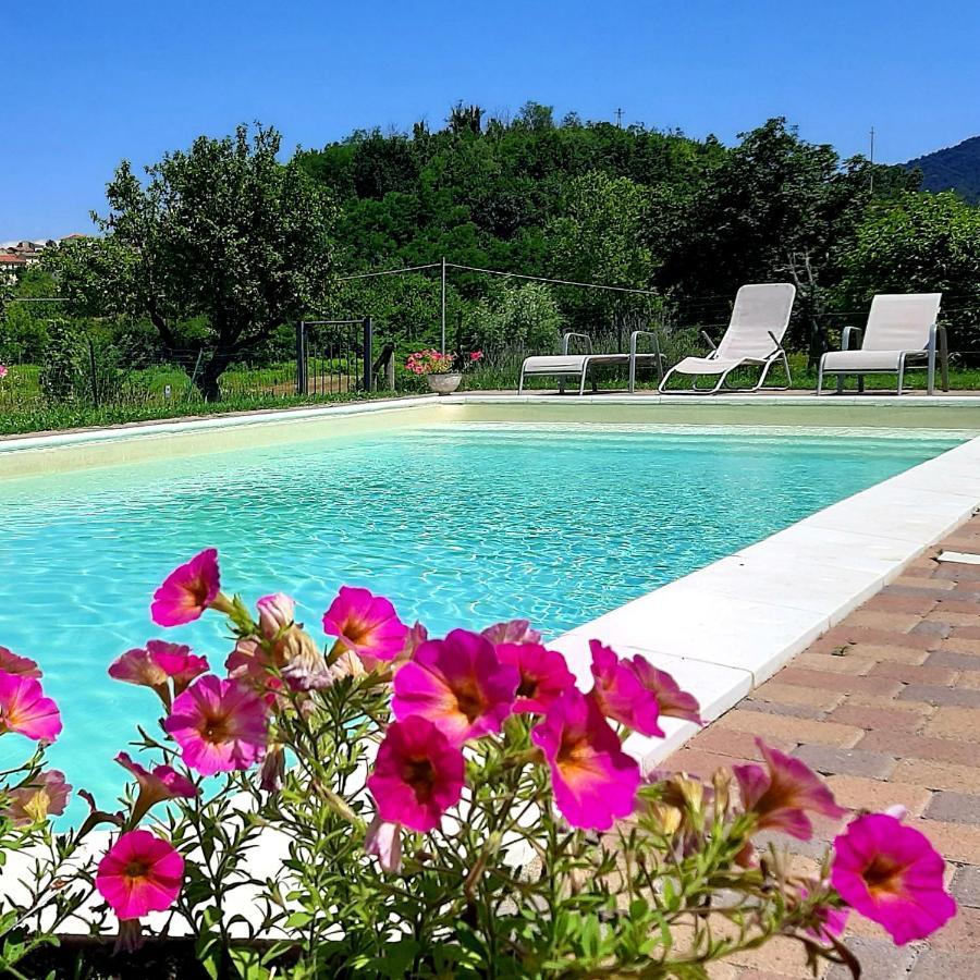 Agriturismo "Veritas" Bed & Wine Casaleggio Boiro Ngoại thất bức ảnh
