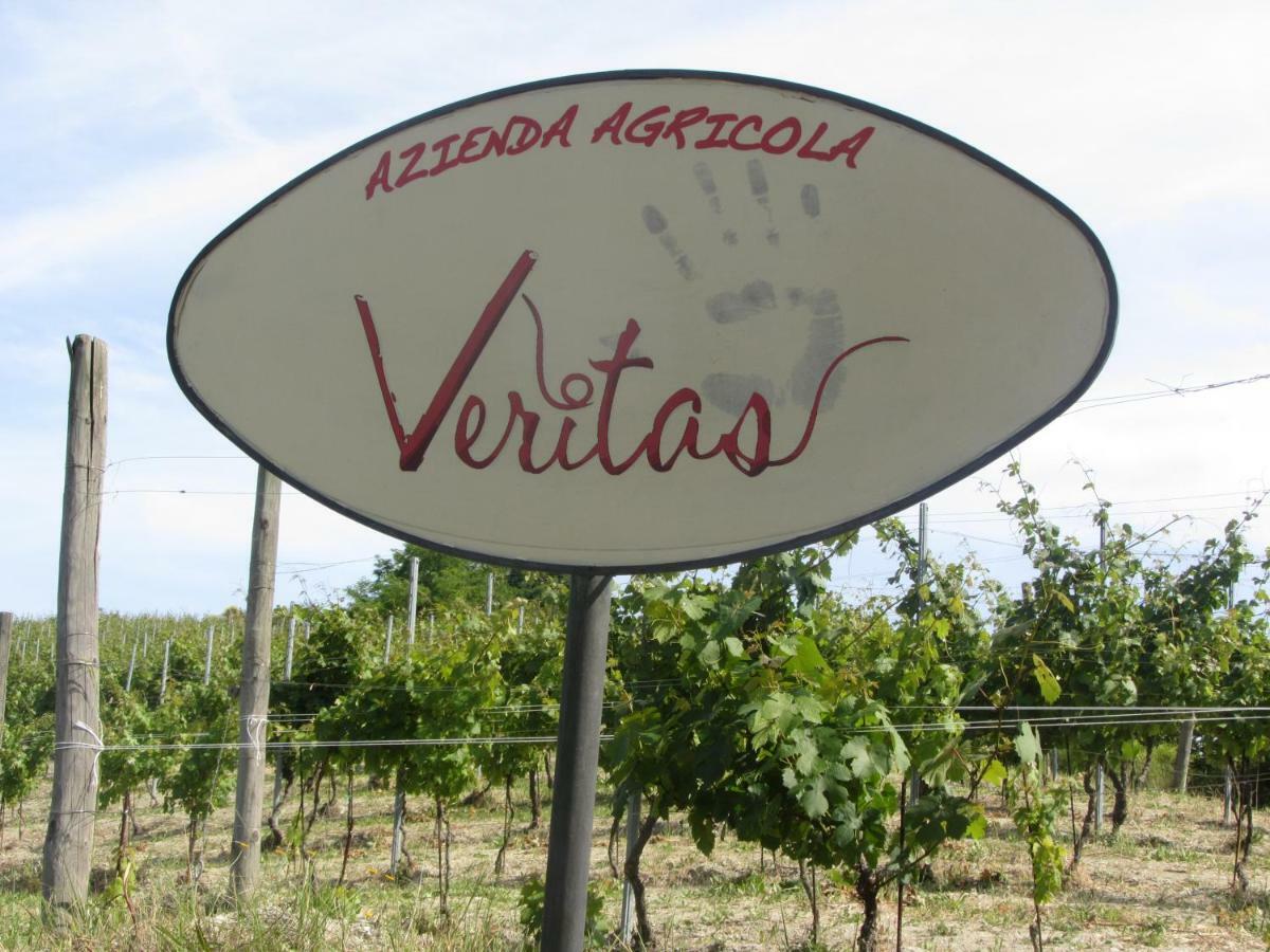 Agriturismo "Veritas" Bed & Wine Casaleggio Boiro Ngoại thất bức ảnh